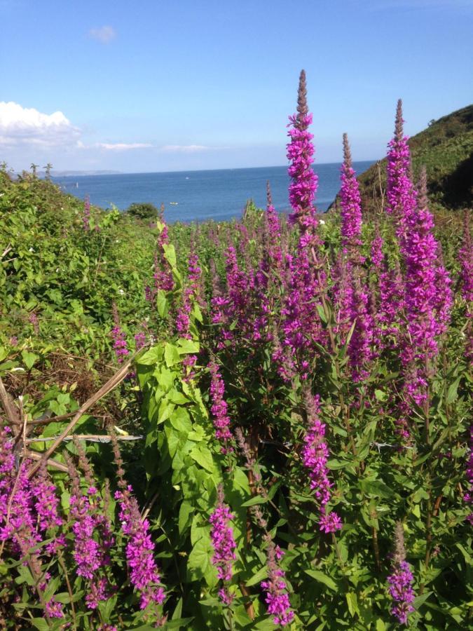 Bed & Breakfast Kerryanna Mevagissey